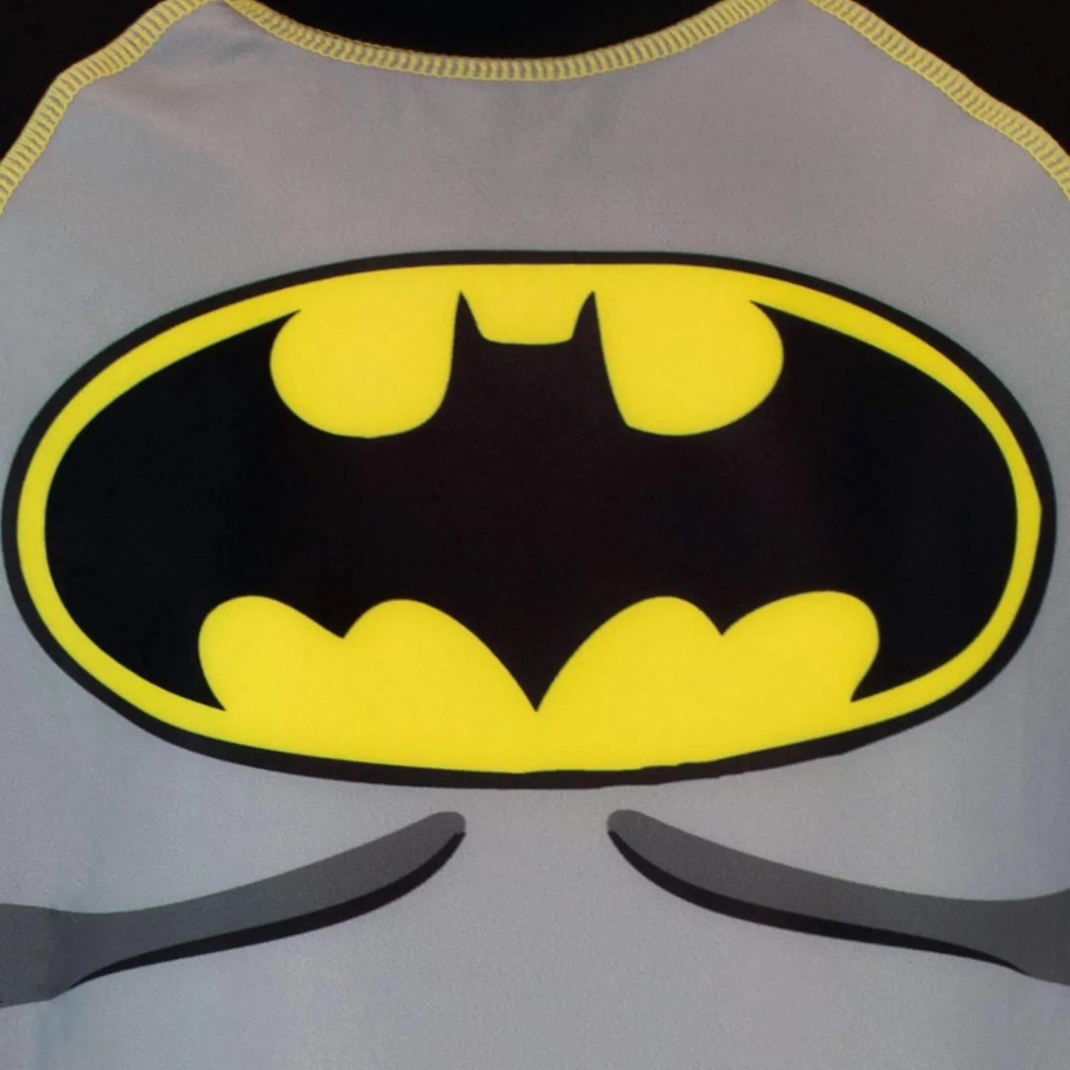 DC Comics Boys' Batman Swimsuit