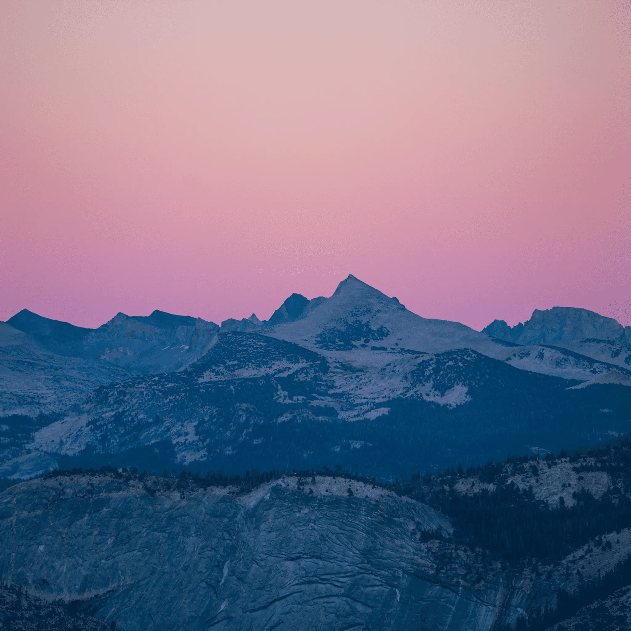 Gogglesoc - Ming Poon Collection Alpenglow Soc
