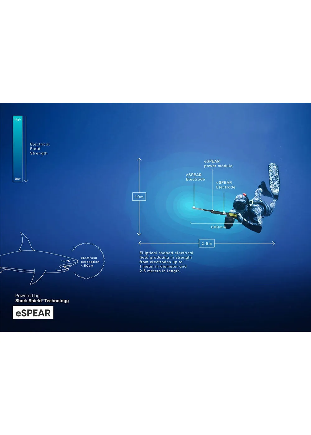 Ocean Guardian eSPEAR