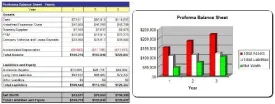 Swimming Pool Club Business Plan - MS Word/Excel