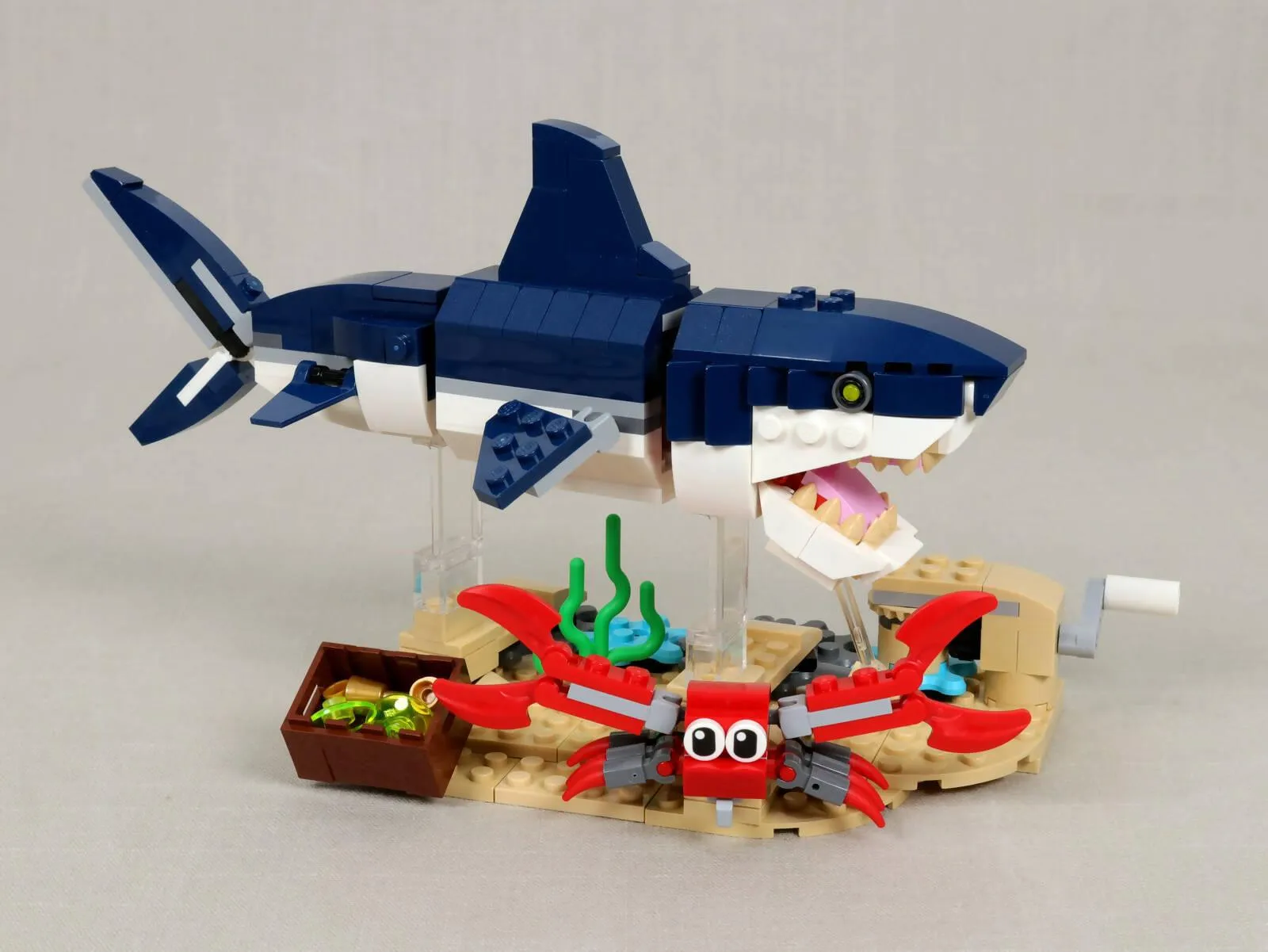Swimming Shark