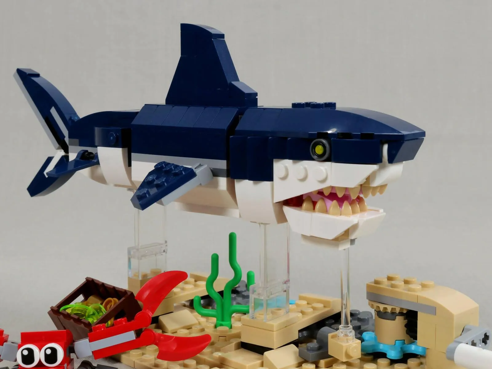 Swimming Shark