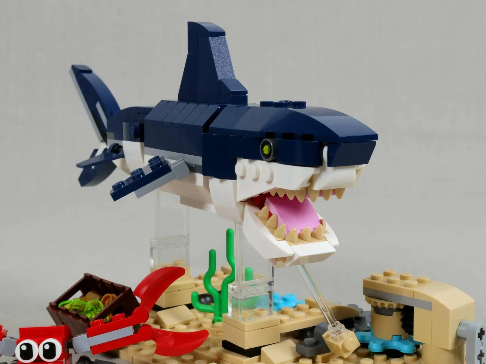 Swimming Shark